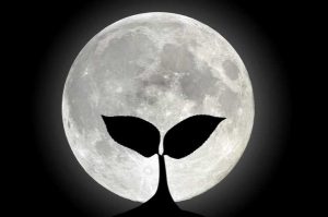 luna della pianta, luna intelligente