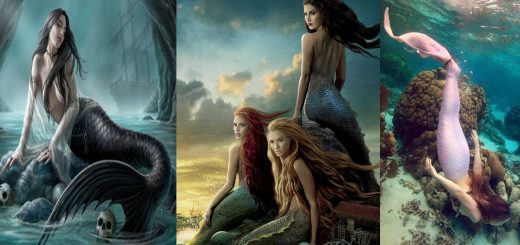 Sirena significato e simbolismo – Il Bosco delle Streghe