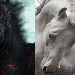 Significato cavallo e simbolismo, animale fiero
