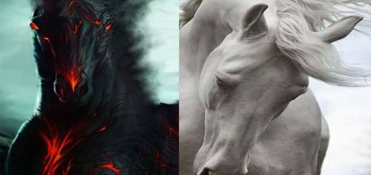 Significato cavallo e simbolismo, animale fiero