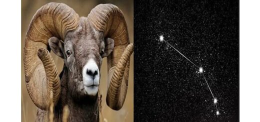 ariete-costellazione