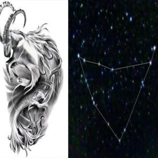 capricorno-costellazione
