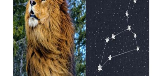 leone-costellazione