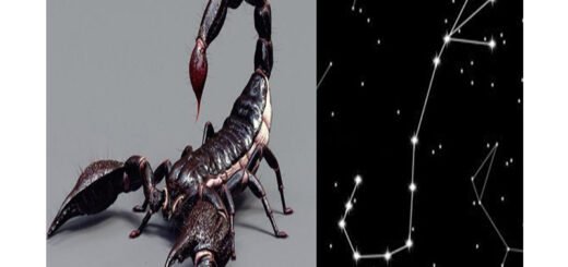 scorpione-costellazione