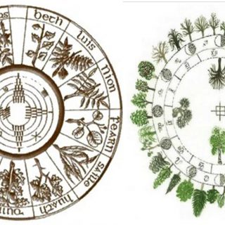 Segno zodiacale celtico, quali sono? Ecco i 22 segni celtici