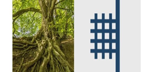 segno-celtico-albero-faggio