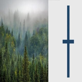segno-albero-abete