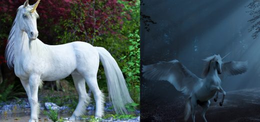 Unicorno – cosa simboleggia unicorno? Che poteri ha l’unicorno? Unicorno significato, ma esiste?