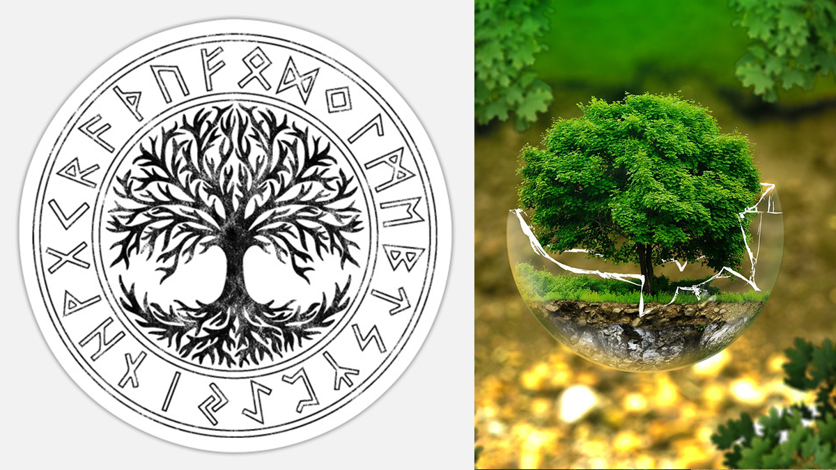 Albero della vita, significato? Quando regalare albero della vita