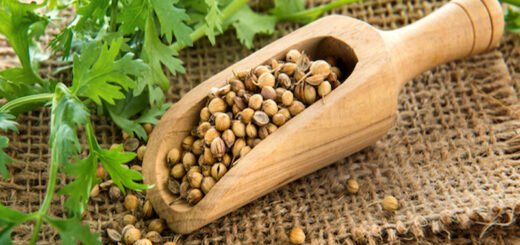coriandolo-erba-aromatica-benefici